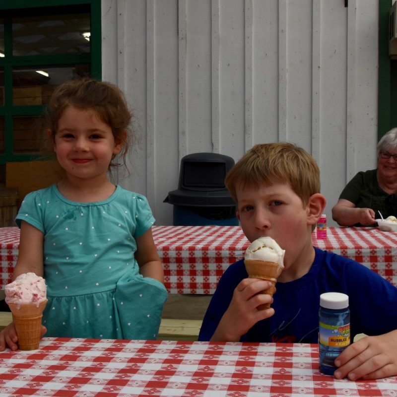 Weber's Farm Client Party, perfect evening for ice cream