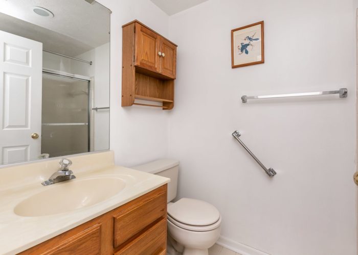 15 Willow Path Court, bathroom with hand rail