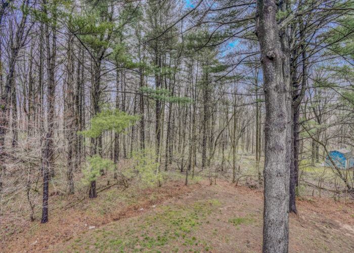 198 Donizetti Ct., wooded part of property