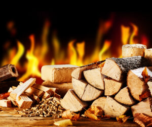 Choosing the correct firewood this winter